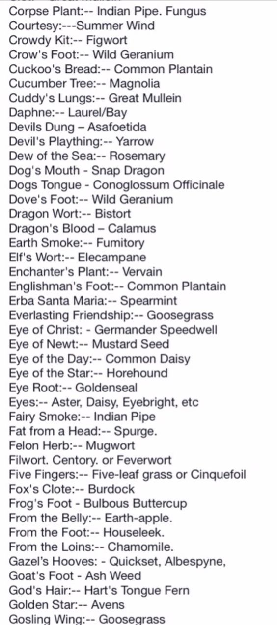 Interesting Folklore Herb Nomenclature • Eupterra