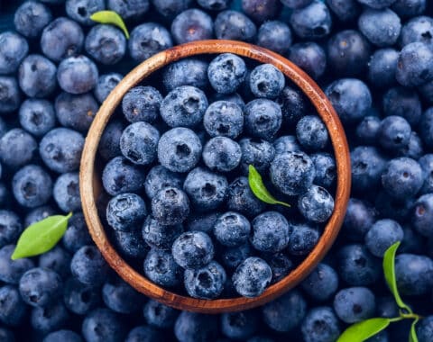 blueberries-the-superfood-in-your-backyard