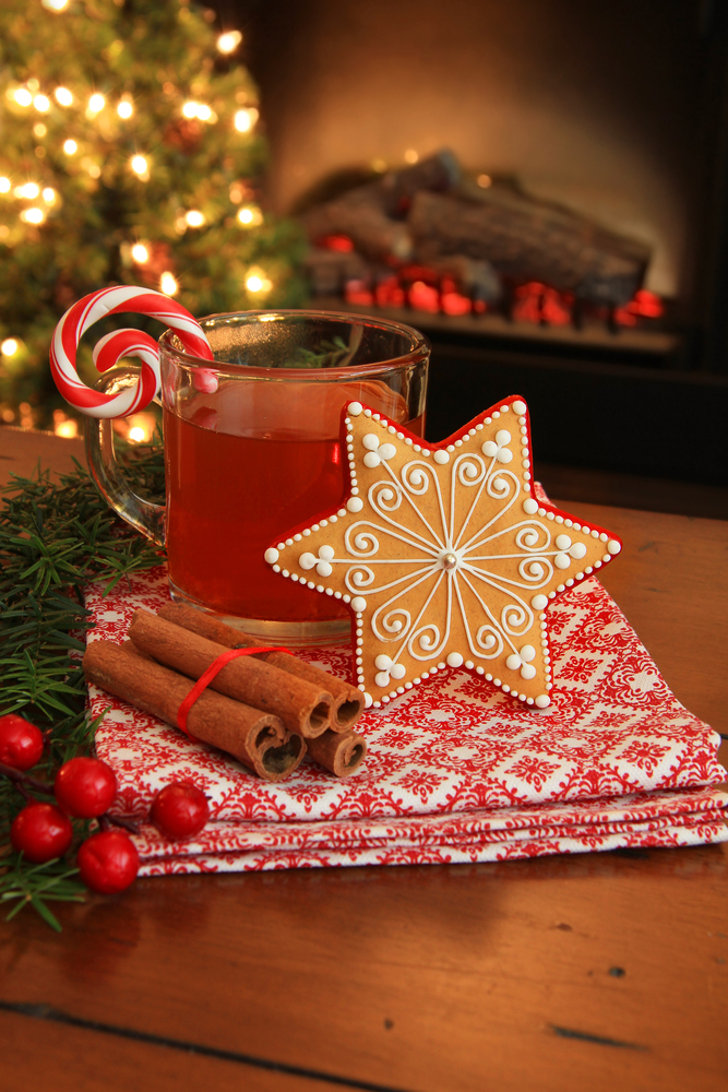 Enjoy a glass of Hibiscus Fire Cider in front of a warm winter fire, paired with cinnamon sticks and festive sugar cookies—a delicious holiday drink.