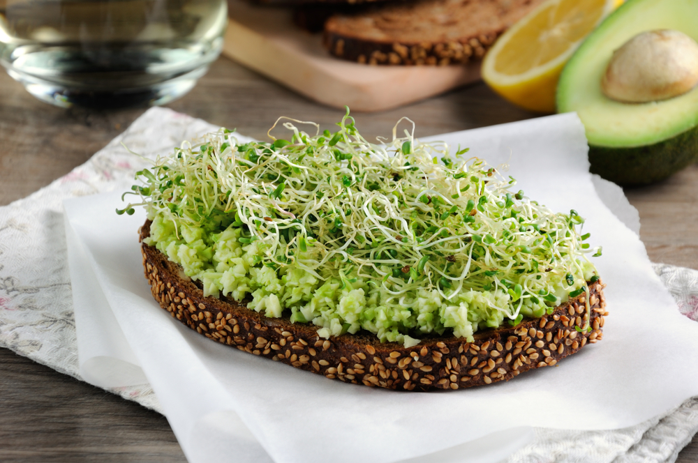 A layer of alfalfa sprouts sits on top of a vegetable spread on bread with black seedpods still attached to the white and pale green stems.